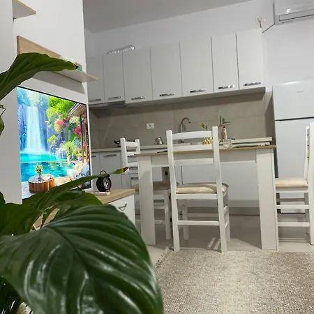 Apartment Main Bulevard 5